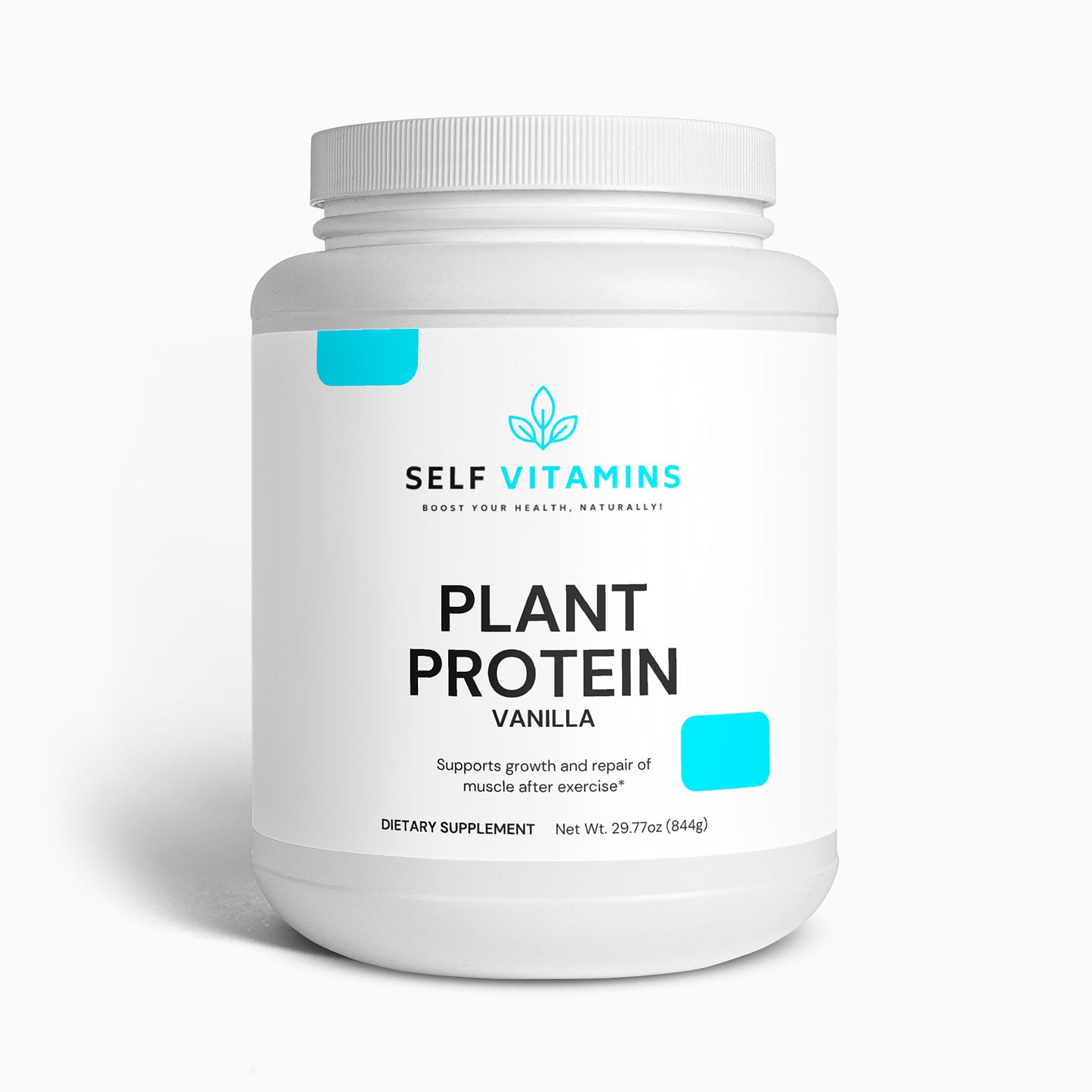 Plant Protein (Vanilla)